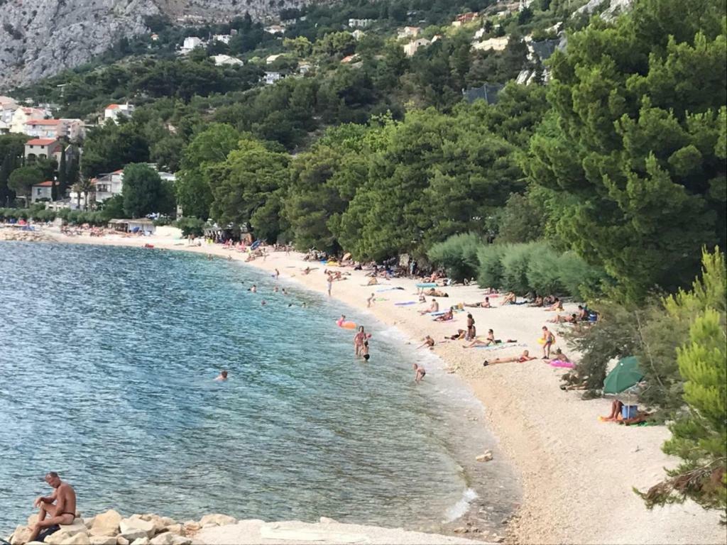Apartment Bilo Omis Bagian luar foto